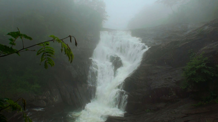 Thusharagiri Waterfalls