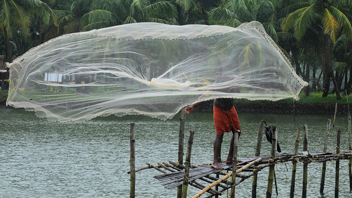 Valiyaparamba Backwaters