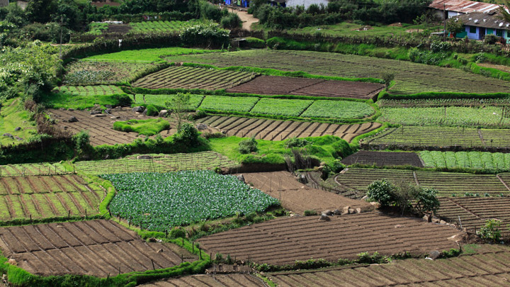 Vattavada, Hill station, Munnar, Idukki 