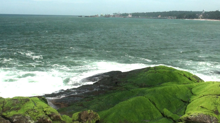 Vizhinjam Marine Aquarium