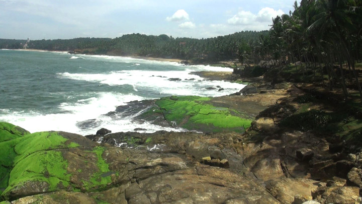 Vizhinjam Marine Aquarium