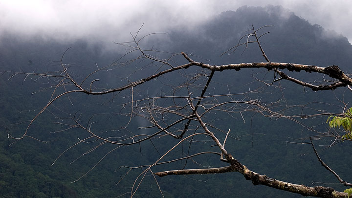 Vythiri Hill Station in Wayanad