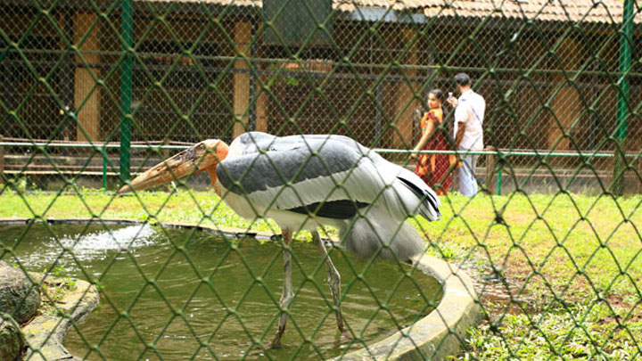 Zoo at Thrissur, Kerala, India 