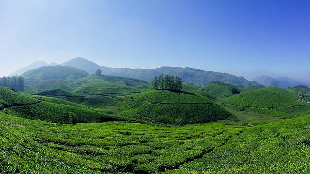Munnar's misty hills | Kerala | Kerala Tourism