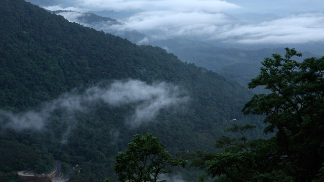 Neelimala Viewpoint near Meenmutty falls, Wayanad | Kerala Tourism - attractions of Wayanad