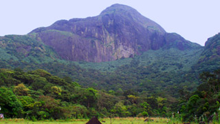 Agasthyakoodam Peak in Kerala