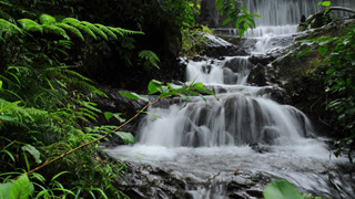 Chethalayam Falls, Wayanad