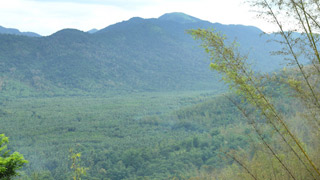 Nadukani Hills, Kottayam