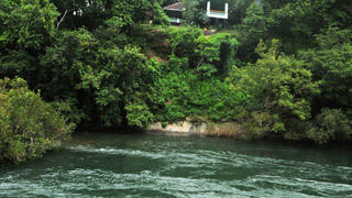 Nedumkayam Rainforest, Malappuram