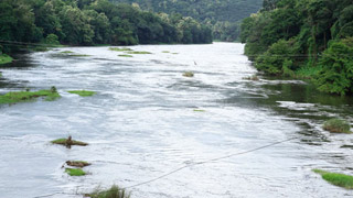 River Pamba