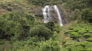 Power House Waterfalls, Munnar