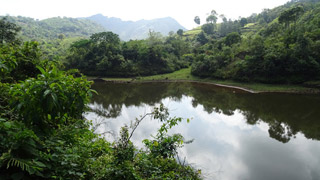 Vazhikkadavu in Kottayam