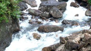 Vellari Mala & Waterfalls, Kozhikode