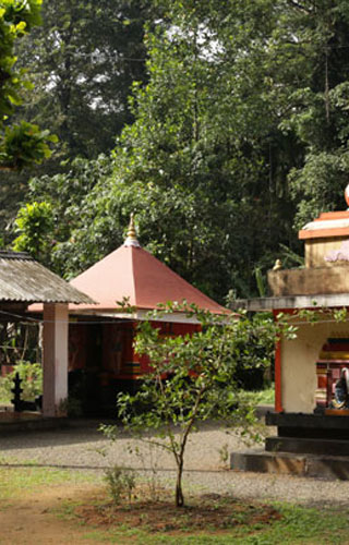 Alapra in Kottayam
