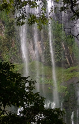 Keezharkuthu Waterfalls