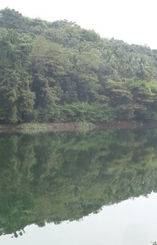 Mangalam Dam, Palakkad