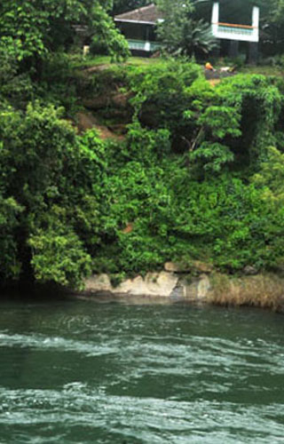 Nedumkayam Rainforest, Malappuram