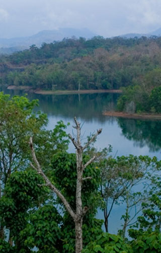 Peppara Wildlife Sanctuary