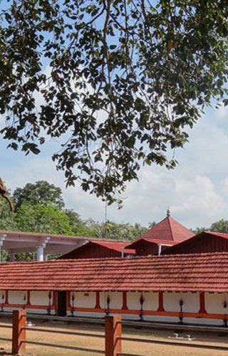 Pishakarikavu, Kozhikode