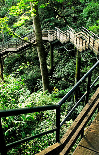 Thenmala Ecotourism in Kollam