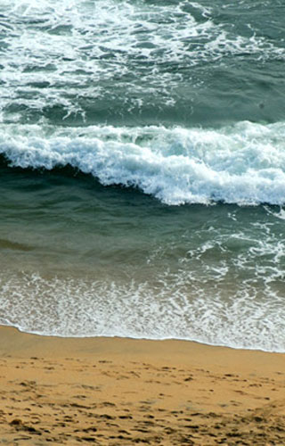 شاطئ فاركالا