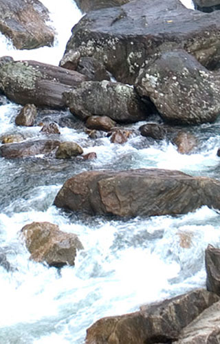 Vellari Mala & Waterfalls, Kozhikode