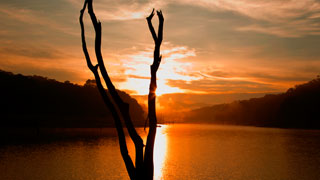 Idukki