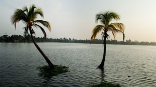 Kollam