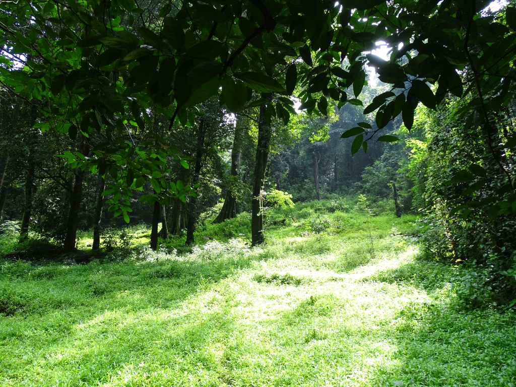 Green Haven of Muthappan at Kunnathurpadi