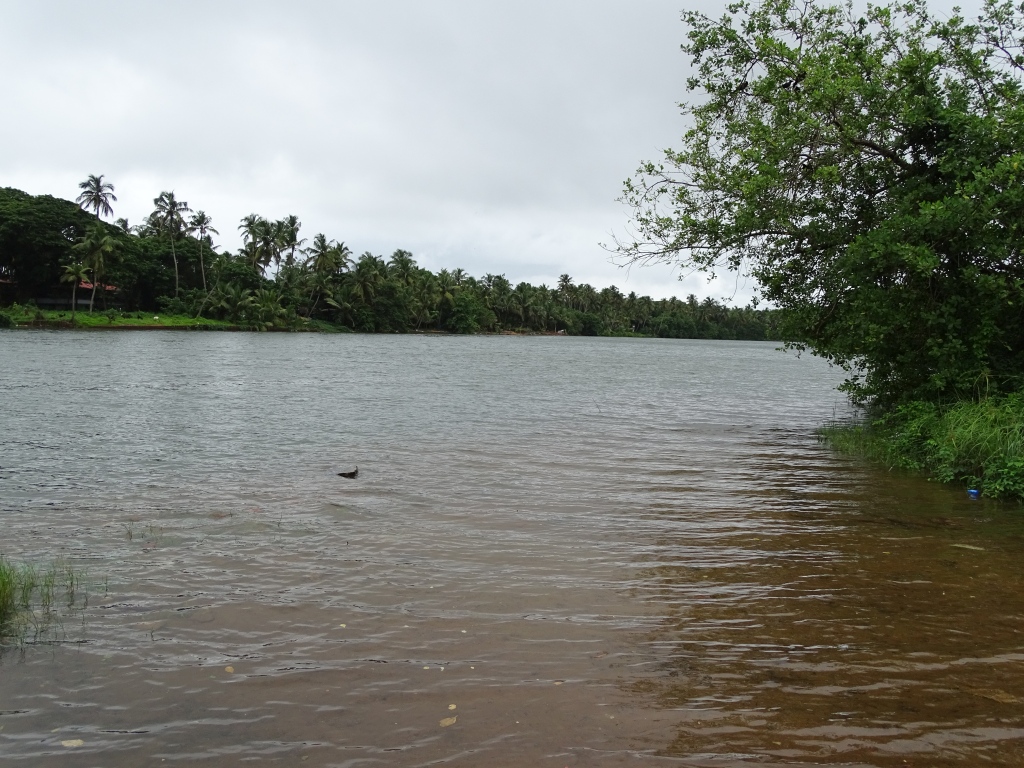 Nileswaram River
