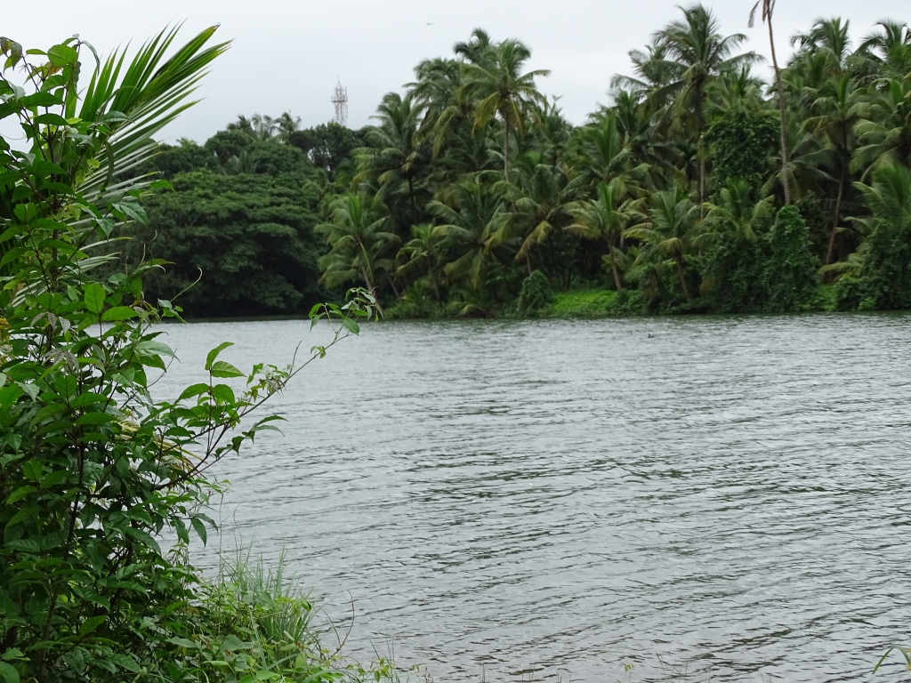 Nileswaram River