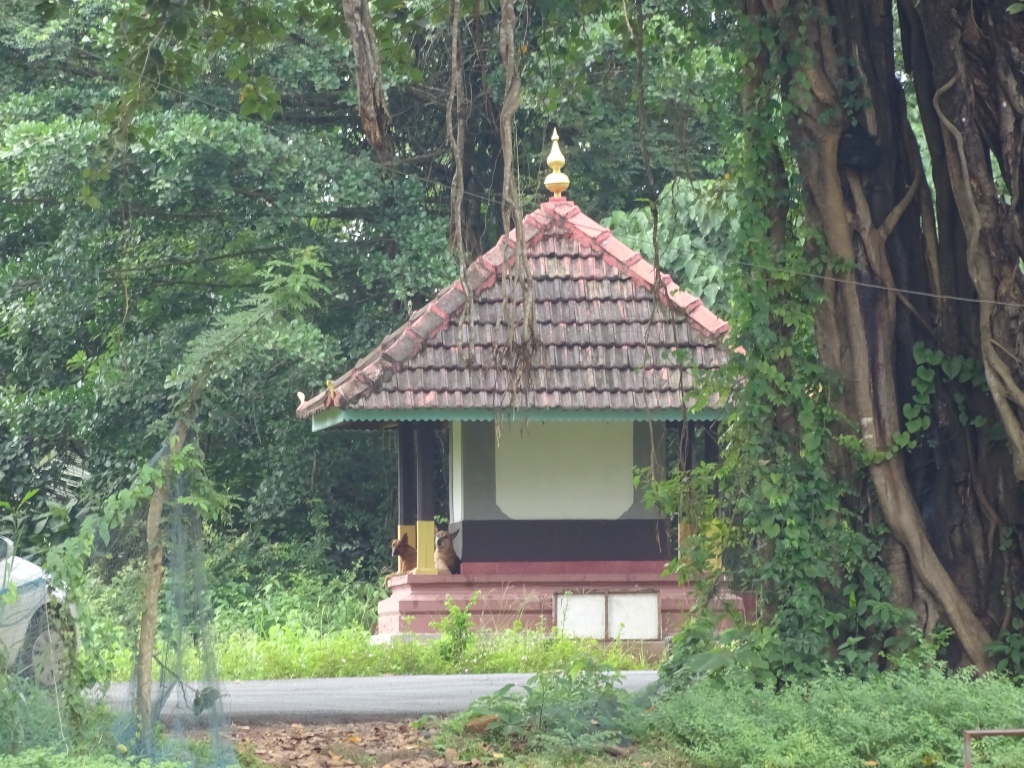 Pilicode Kottumpuram - Sree Vairajathan Temple