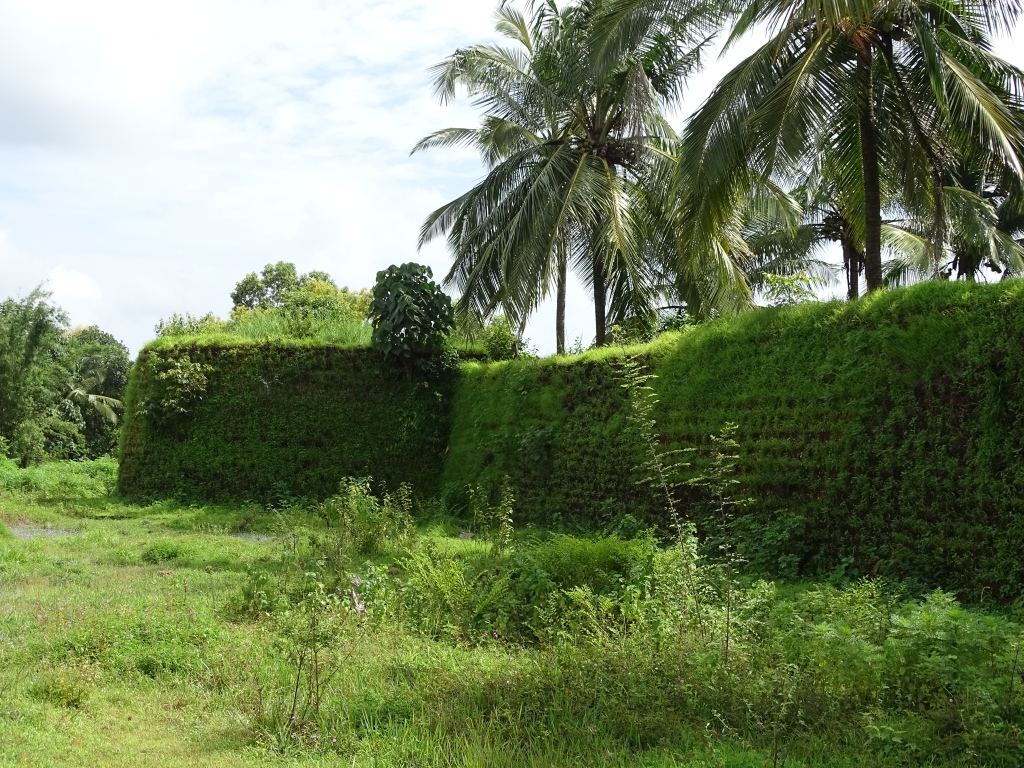 Ruins of an old fort