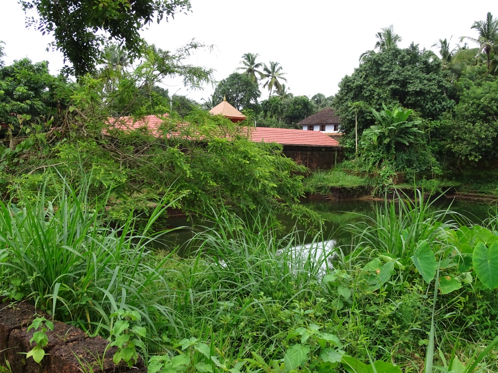 Temple Pond of Vettaikkorumakan Temple, Kozhuval