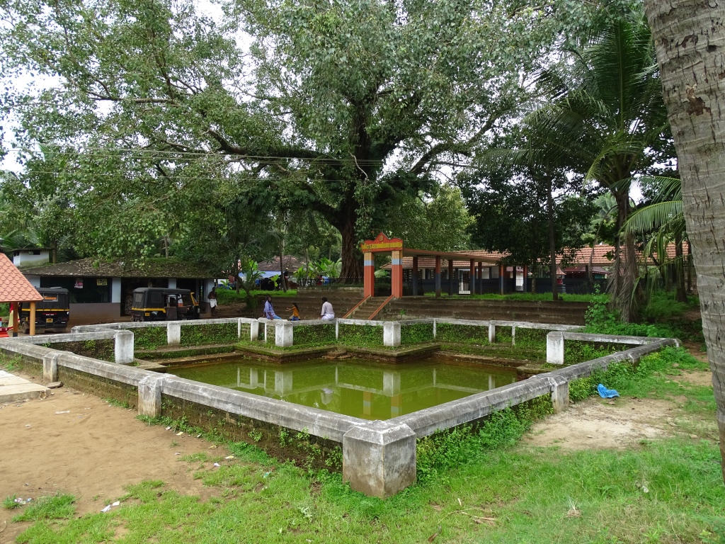 Temple pond, Sree Kuruvappalli Ara