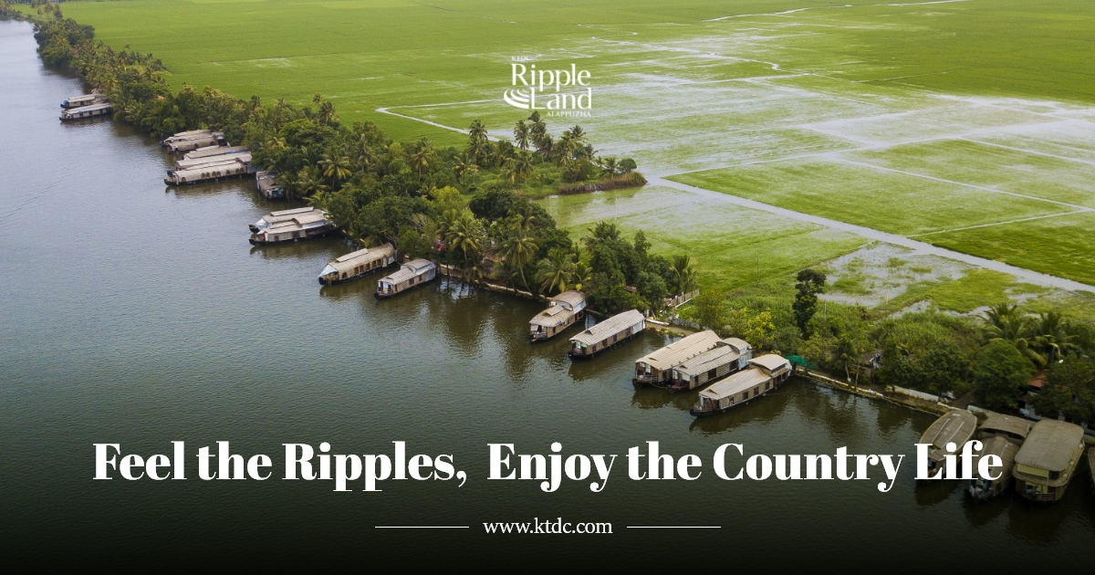 KTDC Ripple Land 