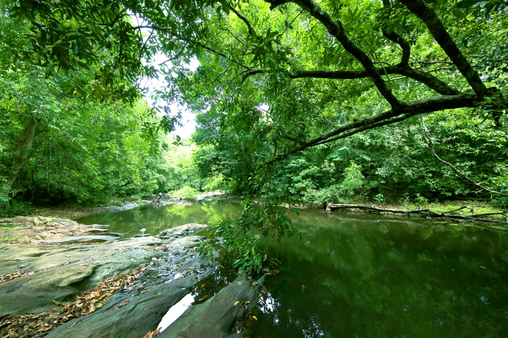 Kannavam Forest Trails