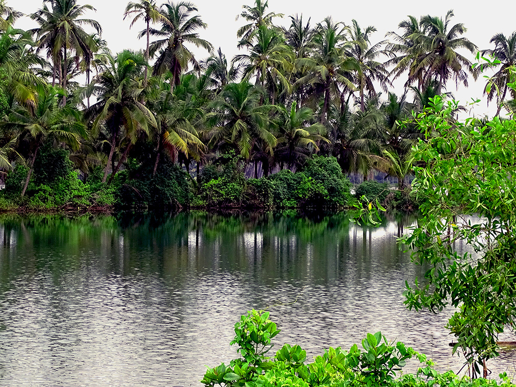 Padanna Backwaters