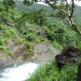 Ezharakundu Waterfalls