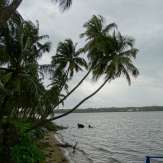 Kavil Pattanam backwaters