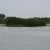 Kottakkal backwaters