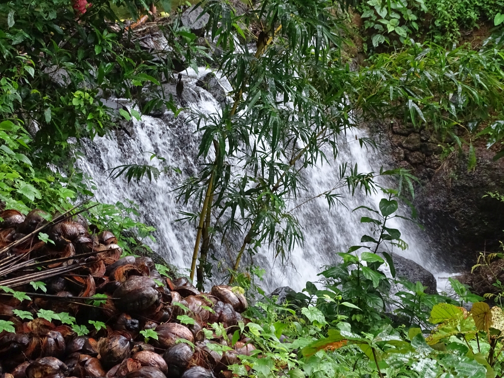 A mini waterfall inside the farm