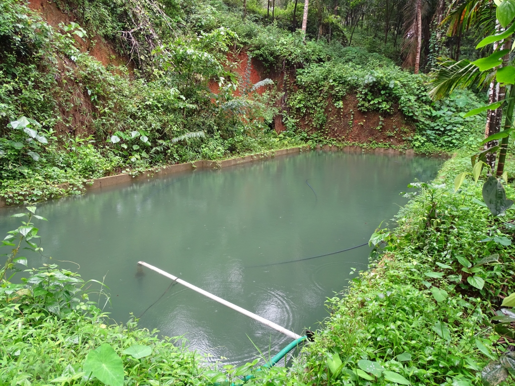 A pond for irrigation inside the farm
