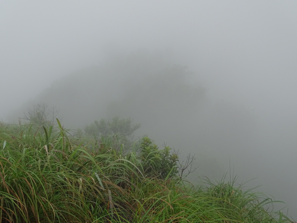 Foggy Kottencherry Hills