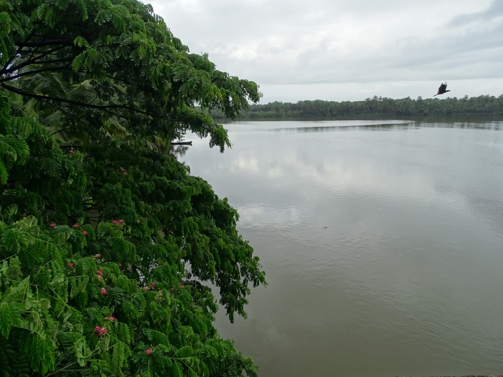 Kavvayi Lake