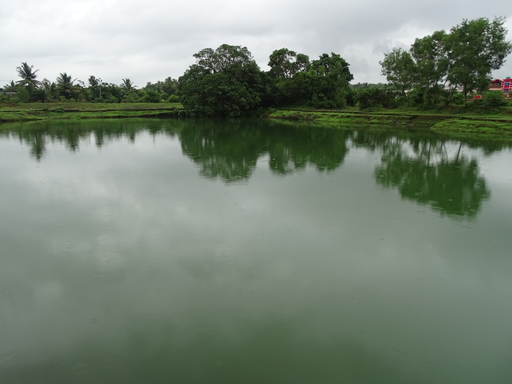 Medicinal water of Mujungavu Temple Pond