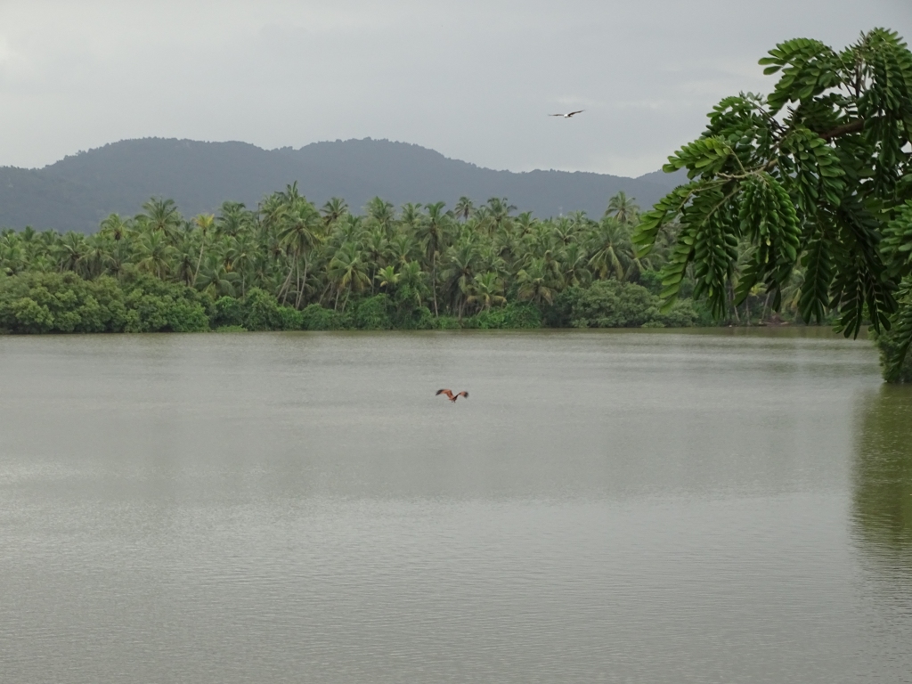 Picture perfect Kavvayi