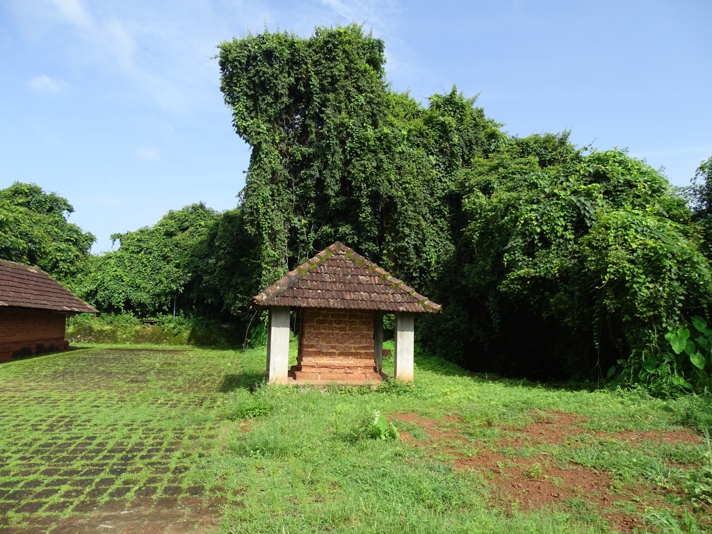 Sacred Grove near Madayi Kavu