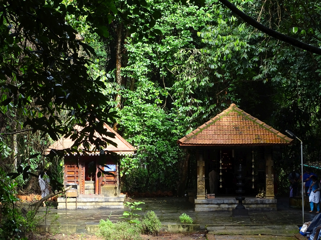 Sree Mookambika Temple & Sacred Grove at Paliyeri