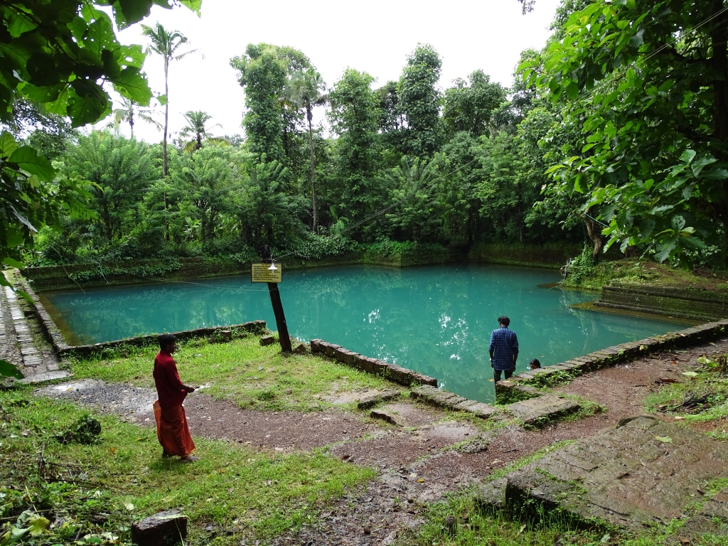 Thodikkulam Temple Pond